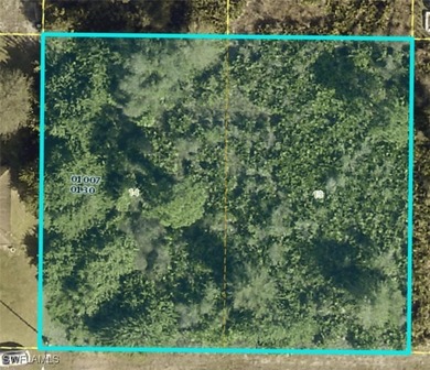 Lehigh Acres Area Lot For Sale in Lehigh Acres Florida