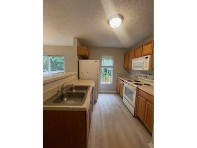 New Listing! Stylish Corner Townhome in the Heart of Tampa Bay - photo 8