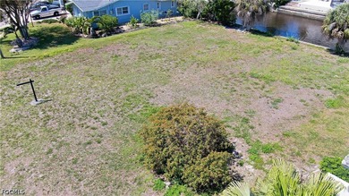 Build your dream waterfront home on this prime North Fort Myers - photo 9