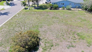 Build your dream waterfront home on this prime North Fort Myers - photo 10