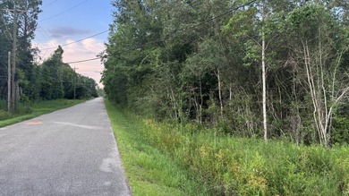 This property is a portion of a larger, heavily wooded property - photo 14