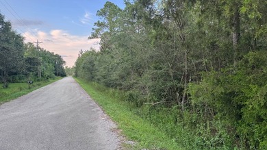 This property is a portion of a larger, heavily wooded property - photo 15