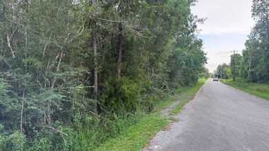 This property is a portion of a larger, heavily wooded property - photo 16