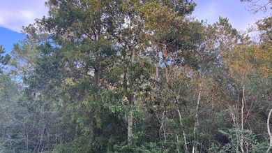 This property is a portion of a larger, heavily wooded property - photo 18