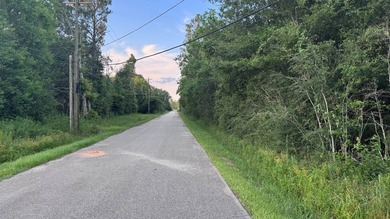 This property is a portion of a larger, heavily wooded property - photo 19