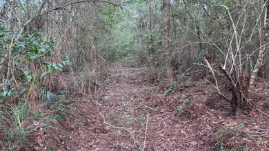 This property is a portion of a larger, heavily wooded property - photo 20