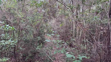 This property is a portion of a larger, heavily wooded property - photo 23