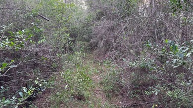 This property is a portion of a larger, heavily wooded property - photo 24