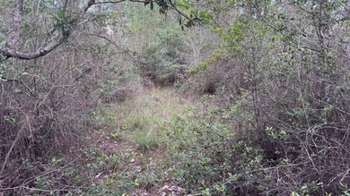 This property is a portion of a larger, heavily wooded property - photo 26