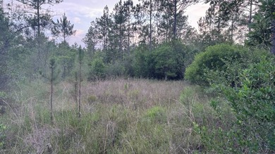 This property is a portion of a larger, heavily wooded property - photo 27