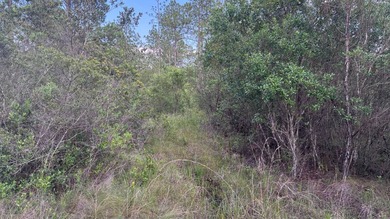 This property is a portion of a larger, heavily wooded property - photo 28