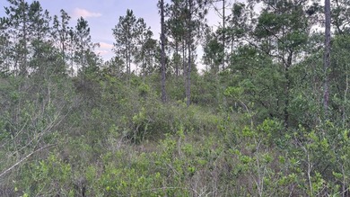 This property is a portion of a larger, heavily wooded property - photo 30