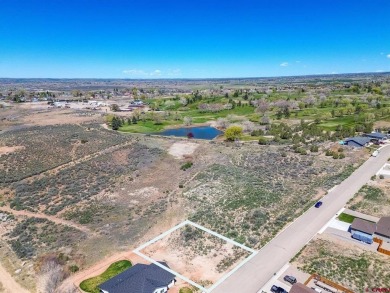 Totten Lake Lot For Sale in Cortez Colorado