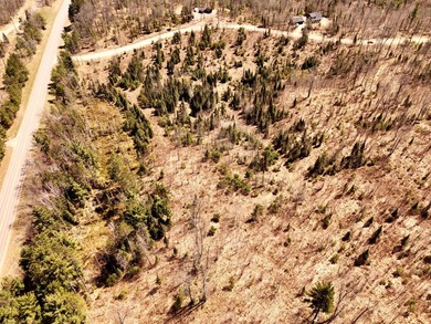 Escape to the Northwoods with this beautiful 5.03-acre parcel on - photo 1