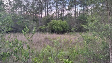 This property is a portion of a larger, heavily wooded property - photo 31
