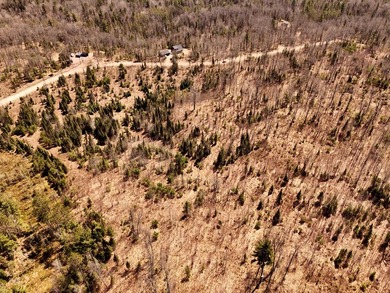 Escape to the Northwoods with this beautiful 5.03-acre parcel on - photo 3