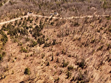 Escape to the Northwoods with this beautiful 5.03-acre parcel on - photo 4