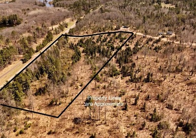 Escape to the Northwoods with this beautiful 5.03-acre parcel on - photo 5