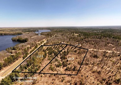 Escape to the Northwoods with this beautiful 5.03-acre parcel on - photo 6