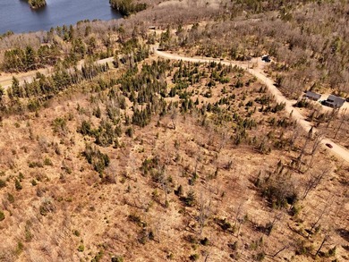 Escape to the Northwoods with this beautiful 5.03-acre parcel on - photo 7