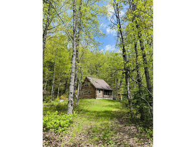 (private lake, pond, coastal) Home For Sale in Carrying Place Town Twp Maine