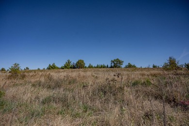 INCREDIBLE PRICE for a Prime lot on Island Lake - just a stone's - photo 5