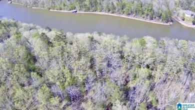 Spacious 3-acre lot with 200' of water frontage located on the - Lake Acreage For Sale in Wedowee, Alabama