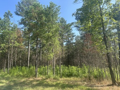 Nick-a-Jack Lake Lot For Sale in Guild Tennessee