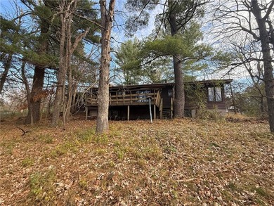 Lake Home For Sale in Andover, Minnesota