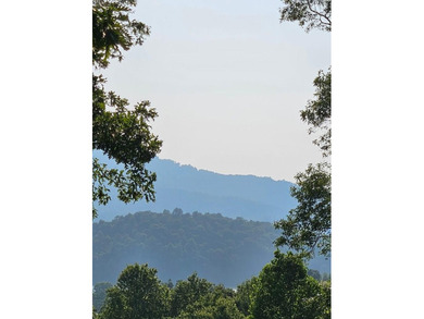 (private lake, pond, creek) Acreage For Sale in Hiawassee Georgia