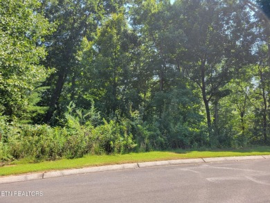 (private lake, pond, creek) Lot For Sale in Madisonville Tennessee