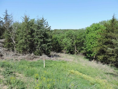 This 2.86-acre lot is located in the Lewis and Clark Lake area - photo 1