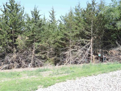 This 2.86-acre lot is located in the Lewis and Clark Lake area - photo 2