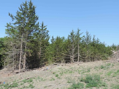 This 2.86-acre lot is located in the Lewis and Clark Lake area - photo 3