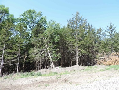 Located in the Lewis and Clark Lake area, this 2.84-acre lot has - photo 1