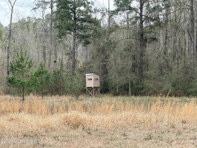 Explore the possibilities with this 61.26 -acre wooded - photo 11
