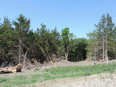 Located in the Lewis and Clark Lake area, this 2.84-acre lot has - photo 2