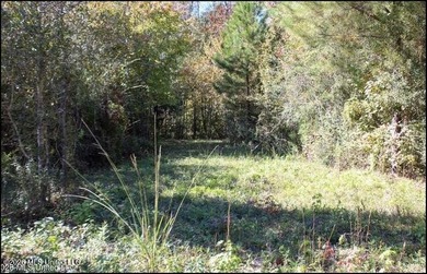 Explore the possibilities with this 61.26 -acre wooded - photo 12
