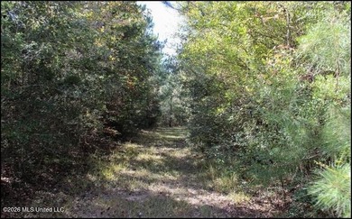Explore the possibilities with this 61.26 -acre wooded - photo 13