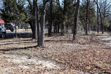 Ideal land for the tiny lake house cabin you have been waiting - photo 13