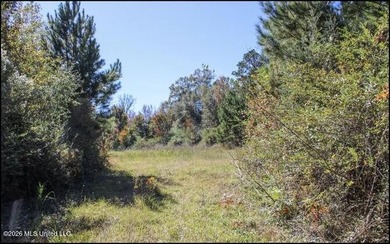 Explore the possibilities with this 61.26 -acre wooded - photo 14