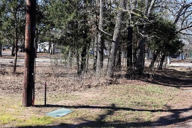 Ideal land for the tiny lake house cabin you have been waiting - photo 14