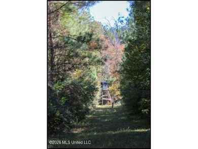 Explore the possibilities with this 61.26 -acre wooded - photo 15