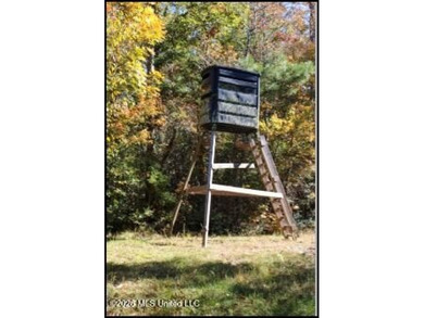 Explore the possibilities with this 61.26 -acre wooded - photo 16