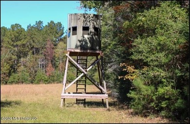 Explore the possibilities with this 61.26 -acre wooded - photo 17