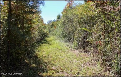 Explore the possibilities with this 61.26 -acre wooded - photo 18