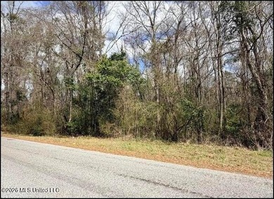 Explore the possibilities with this 61.26 -acre wooded - photo 19