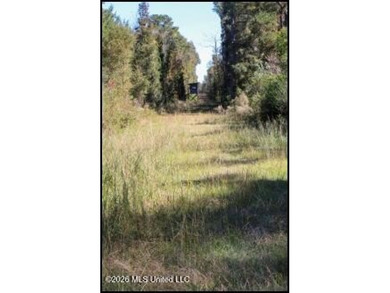 Explore the possibilities with this 61.26 -acre wooded - photo 20