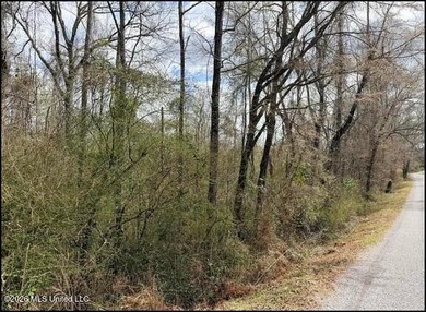 Explore the possibilities with this 61.26 -acre wooded - photo 21