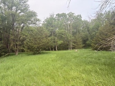 Build the home you've always imagined on this beautiful 3.5-acre - photo 1